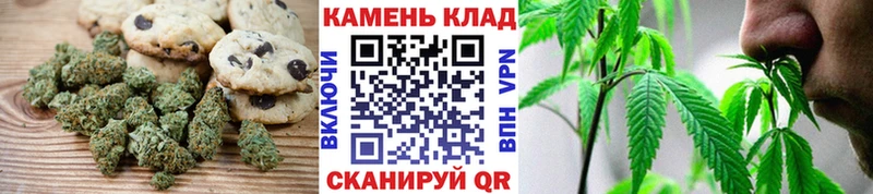 Купить закладки  Жиздра  Печенье с ТГК марихуана 
