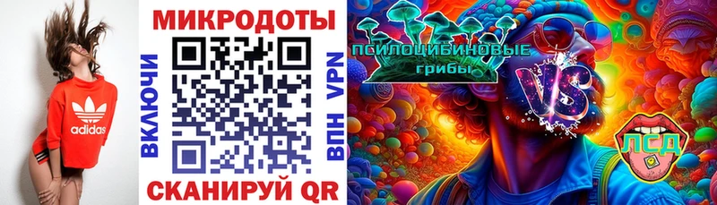Купить закладки  Жиздра  Галлюциногенные грибы прущие грибы 